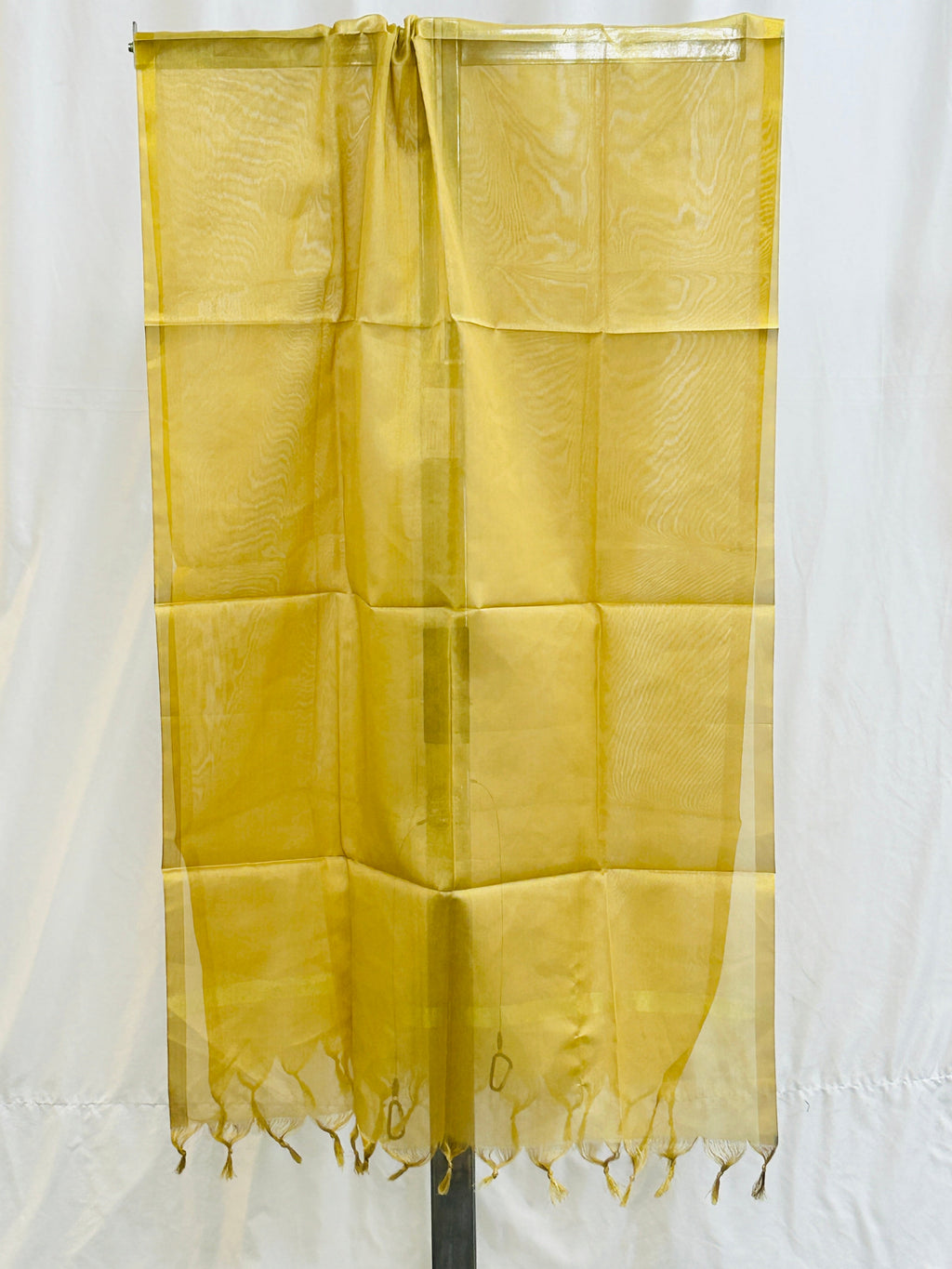 Golden tissue silk dupatta