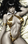 VAMPIRELLA ARMAGEDDON #6 - PILNIKOVA ART COVER B VIRGIN VARIANT LTD 100