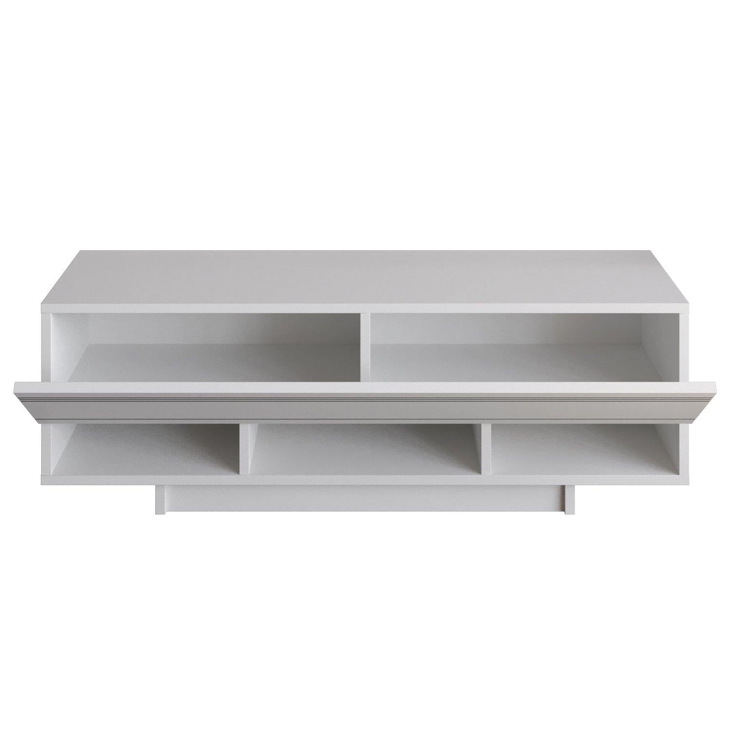 Celestia 47" TV Stand and Media Console with Cabinets and Open Shelves
