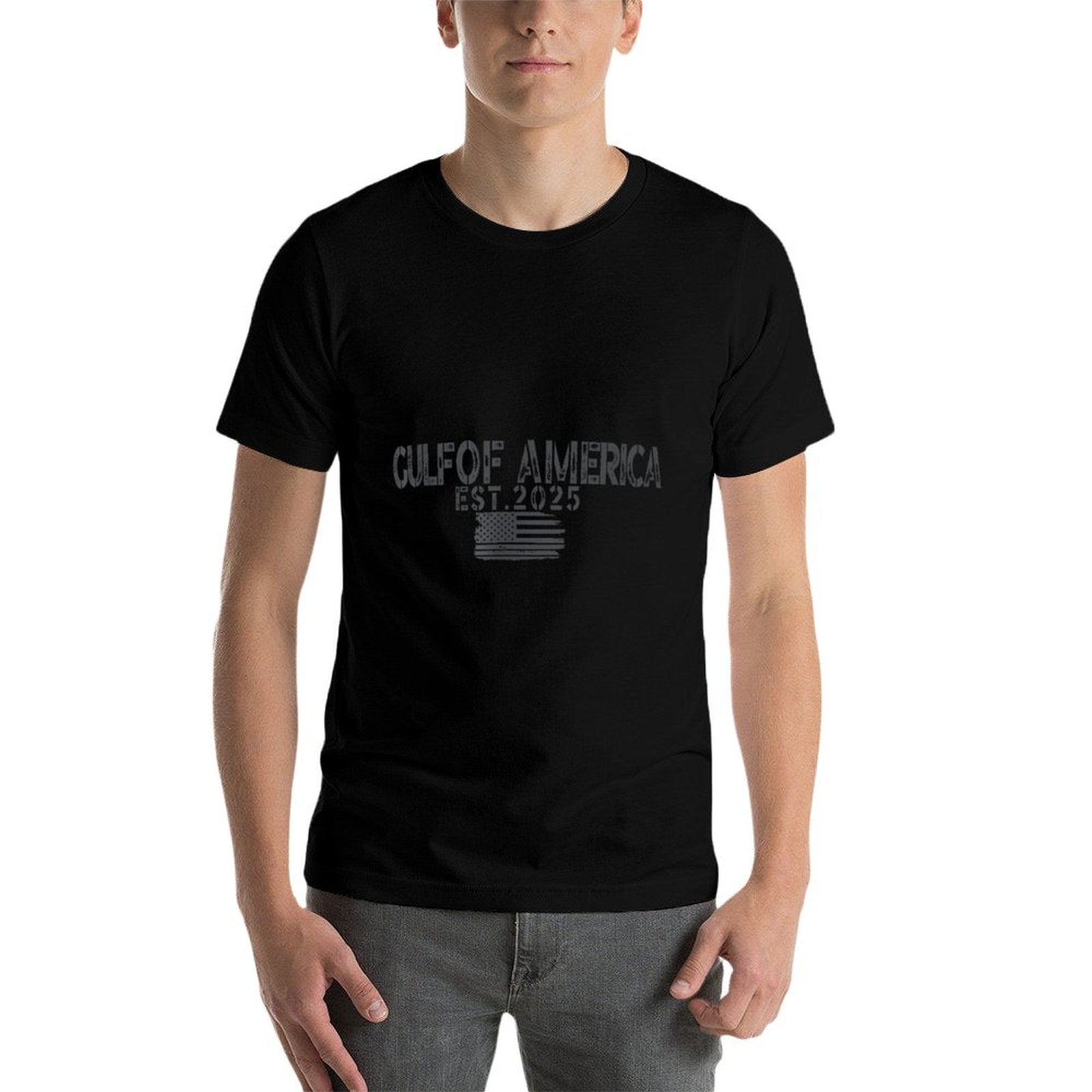Gulf Of US America Est 2025 American Flag Gulf for Men Women Odor-resistant T-Shirt