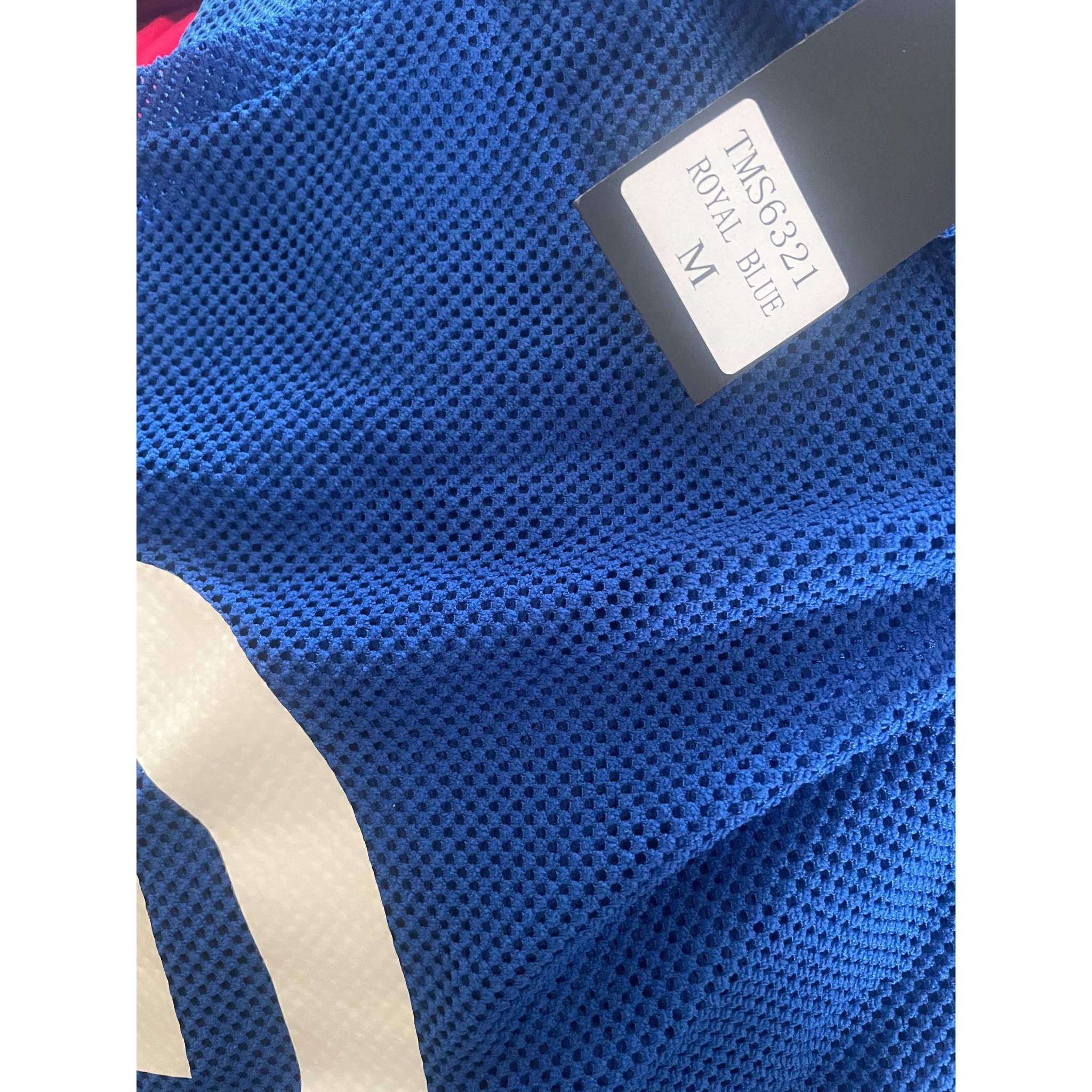 VERSITY STRIPE PRINTED MESH TOP