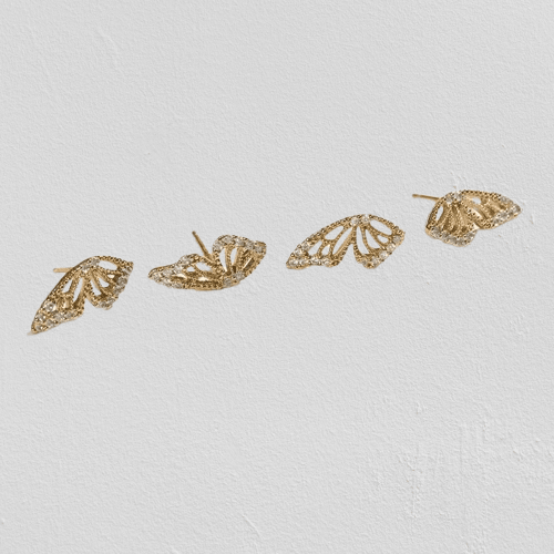 SHINE WINGS