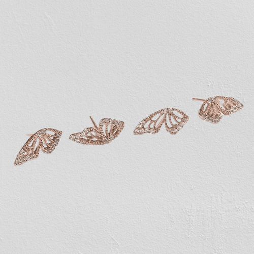 SHINE WINGS