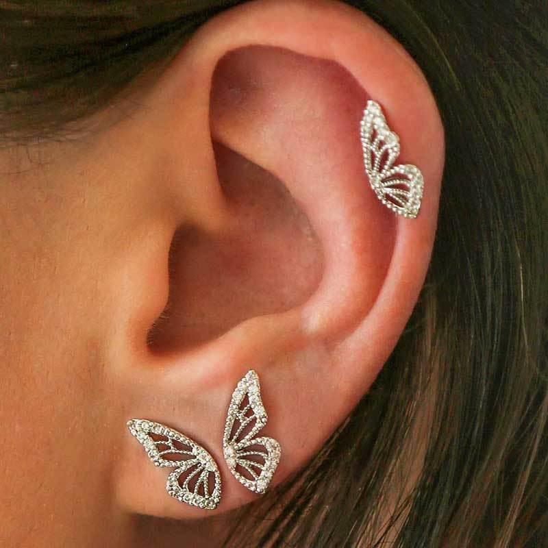 SHINE WINGS