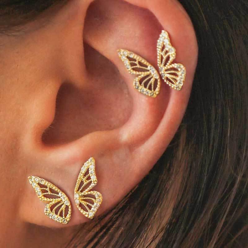 SHINE WINGS