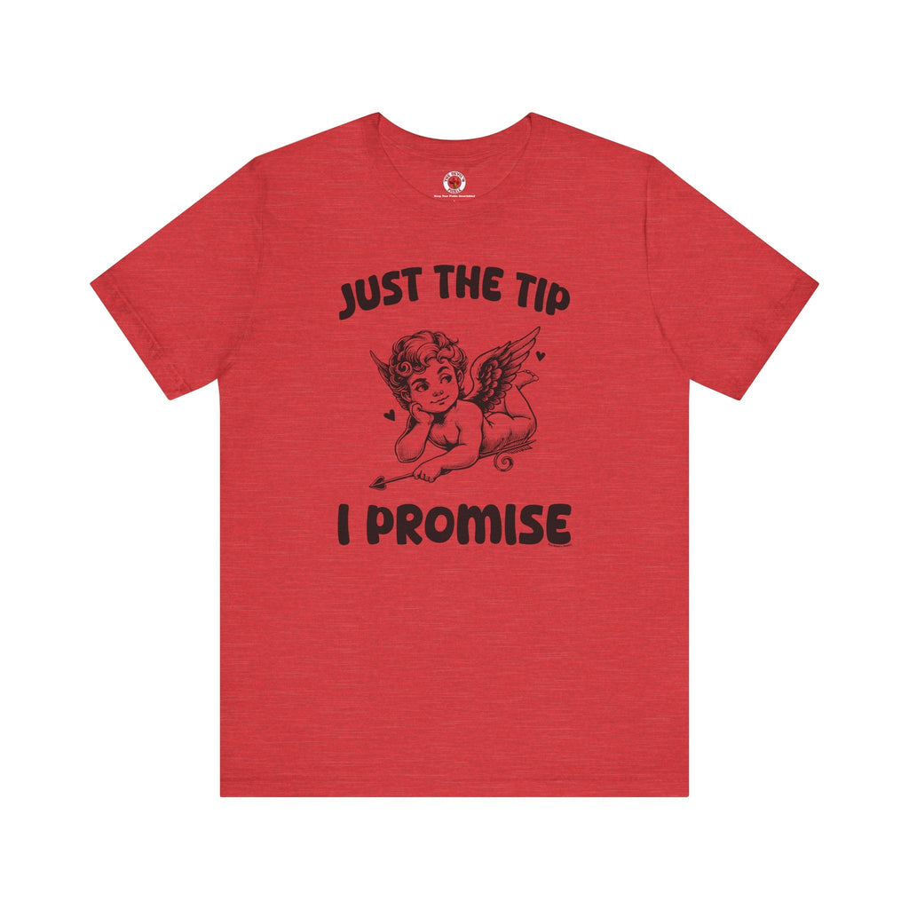 Just The Tip I Promise V-Day T-Shirt