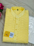 plus size cotton chikankari Kurta set