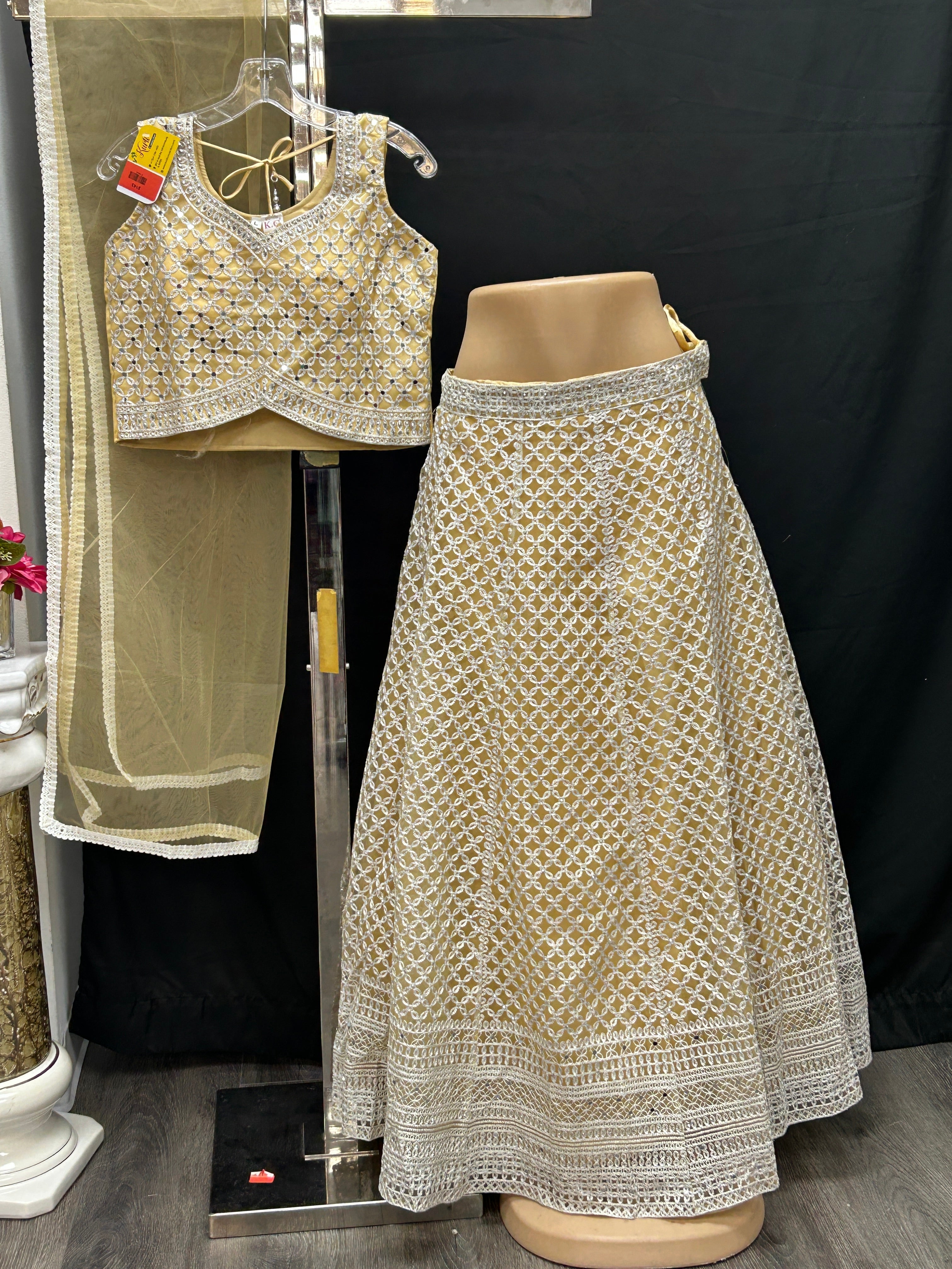 Lehenga Choli set