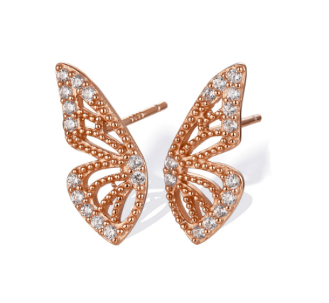 SHINE WINGS