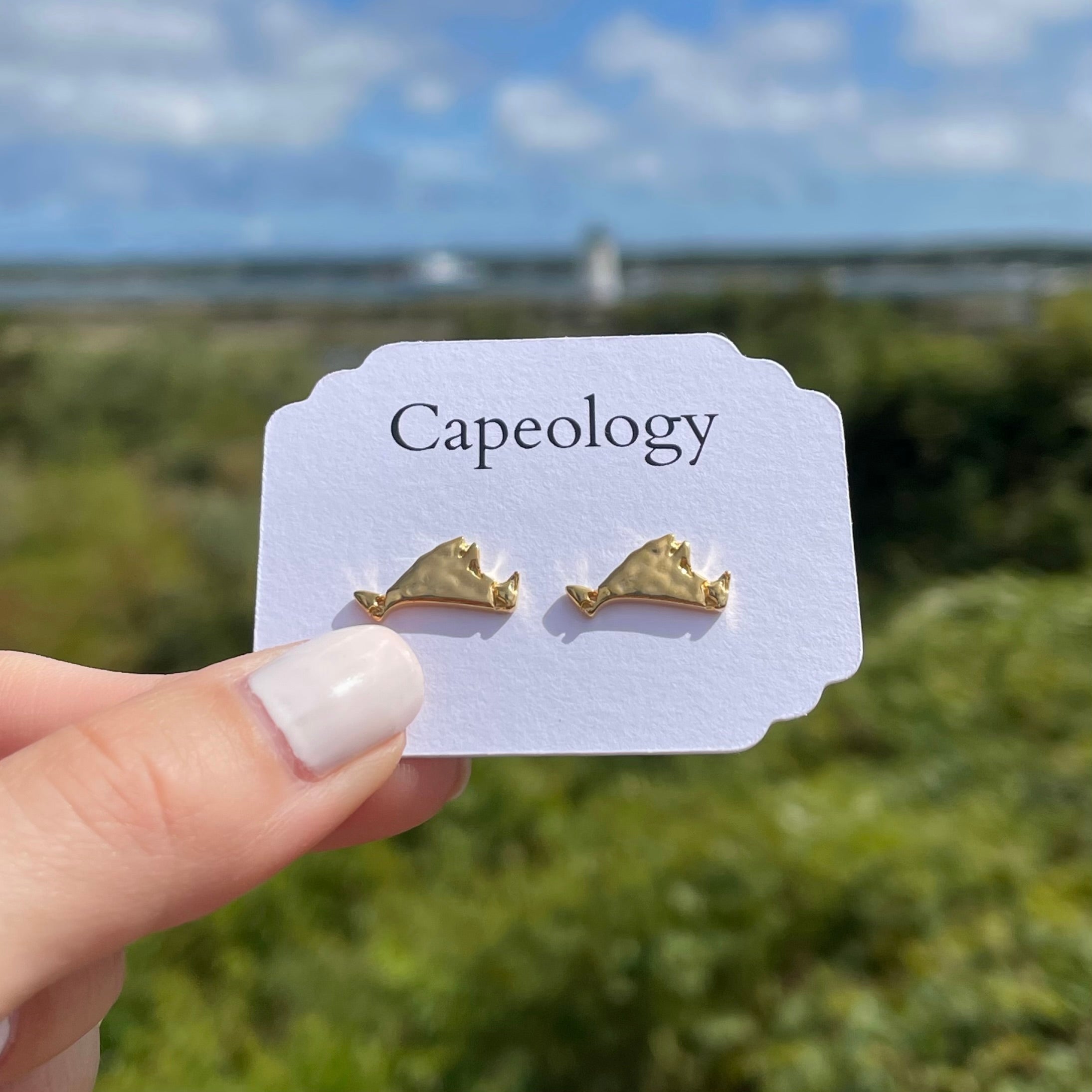 Martha's Vineyard Earrings
