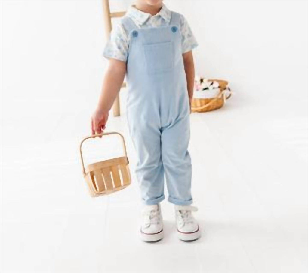 Boys' Bunny Toile Distressed Overall Set