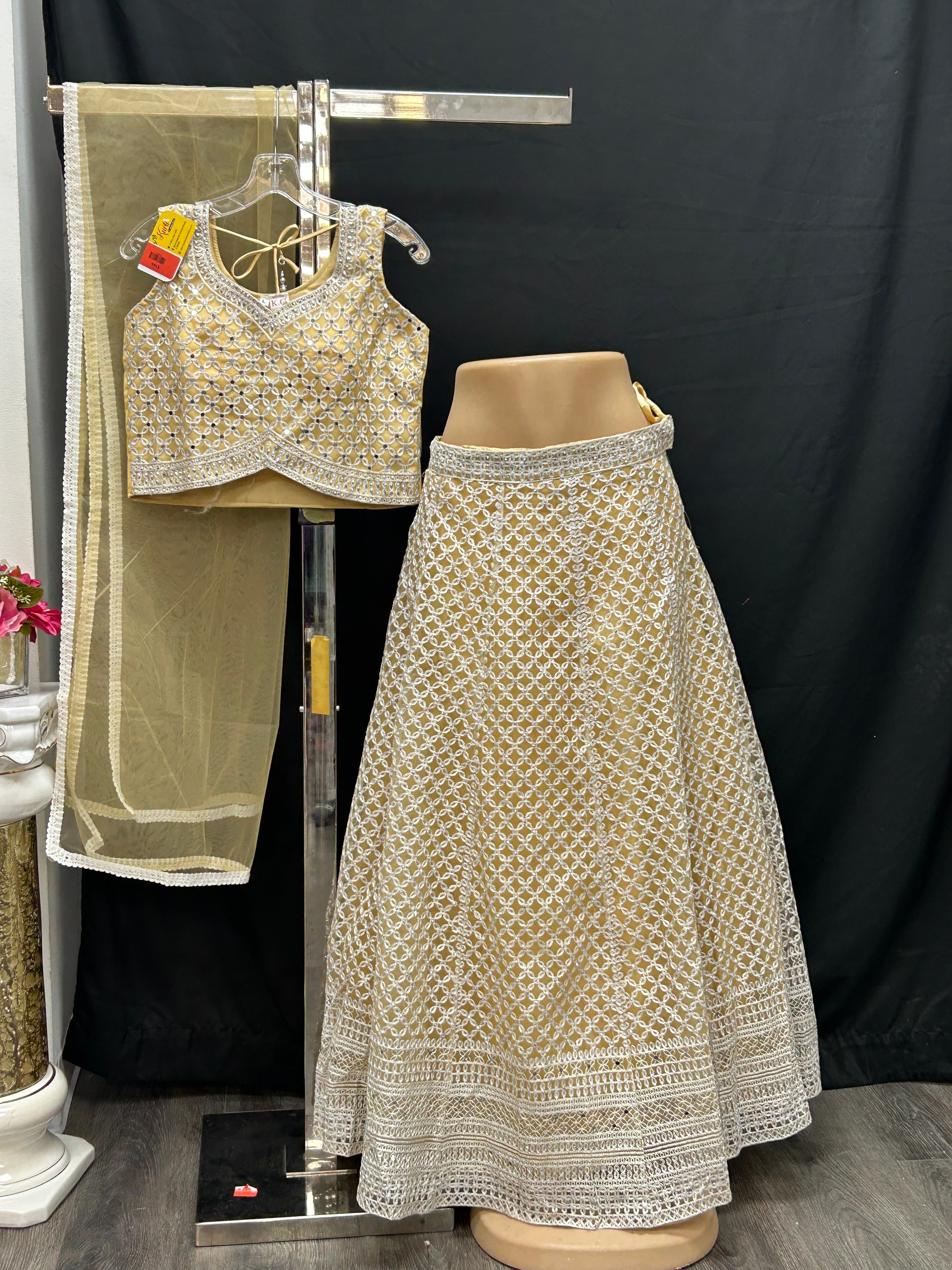 Lehenga Choli set