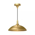 Open Box ALORA MOOD Abel 14 in. 1 Light 60-Watt Brushed Gold Pendant Light