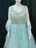 Party wear long gown / Indo western