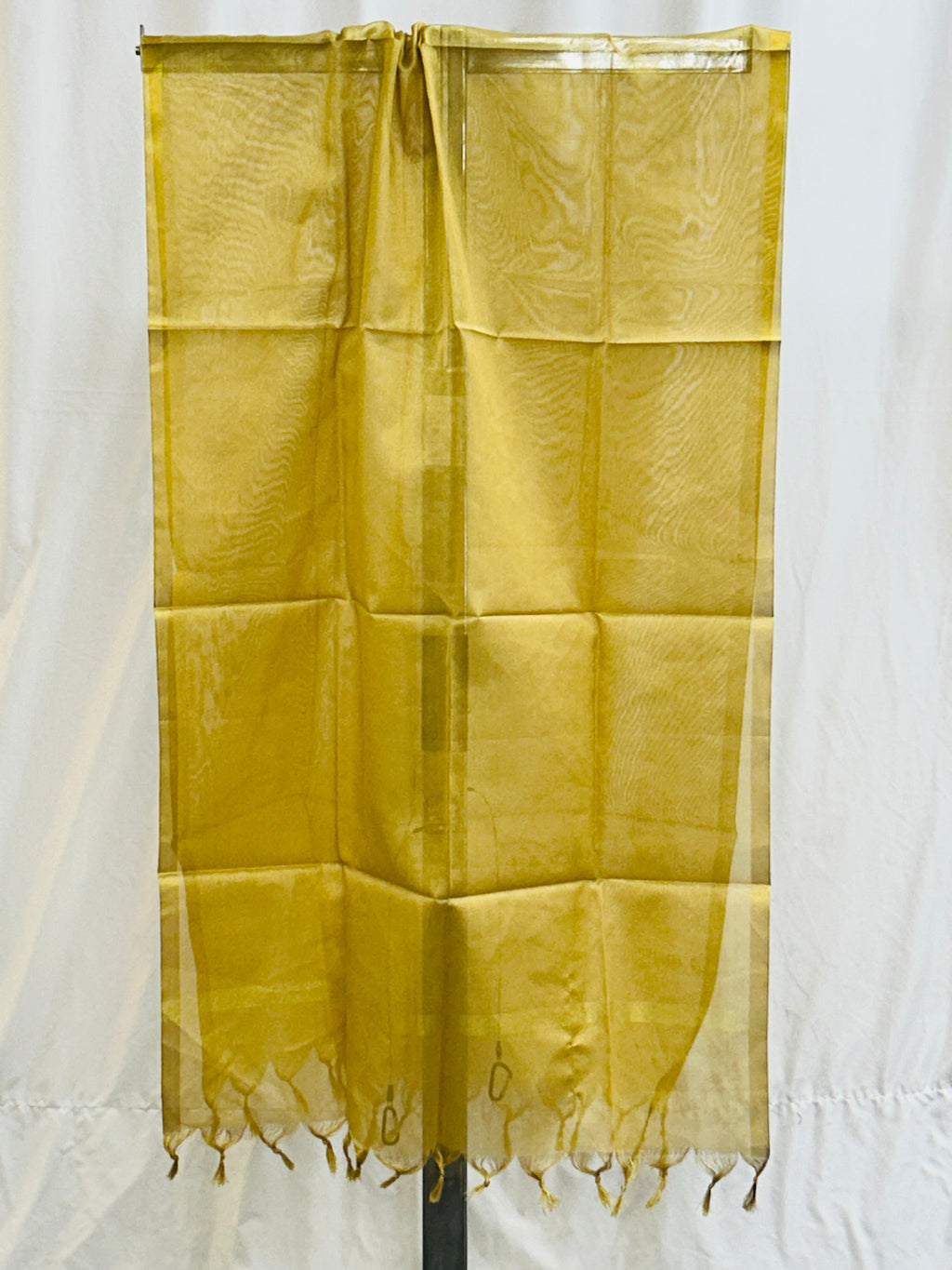 Golden tissue silk dupatta