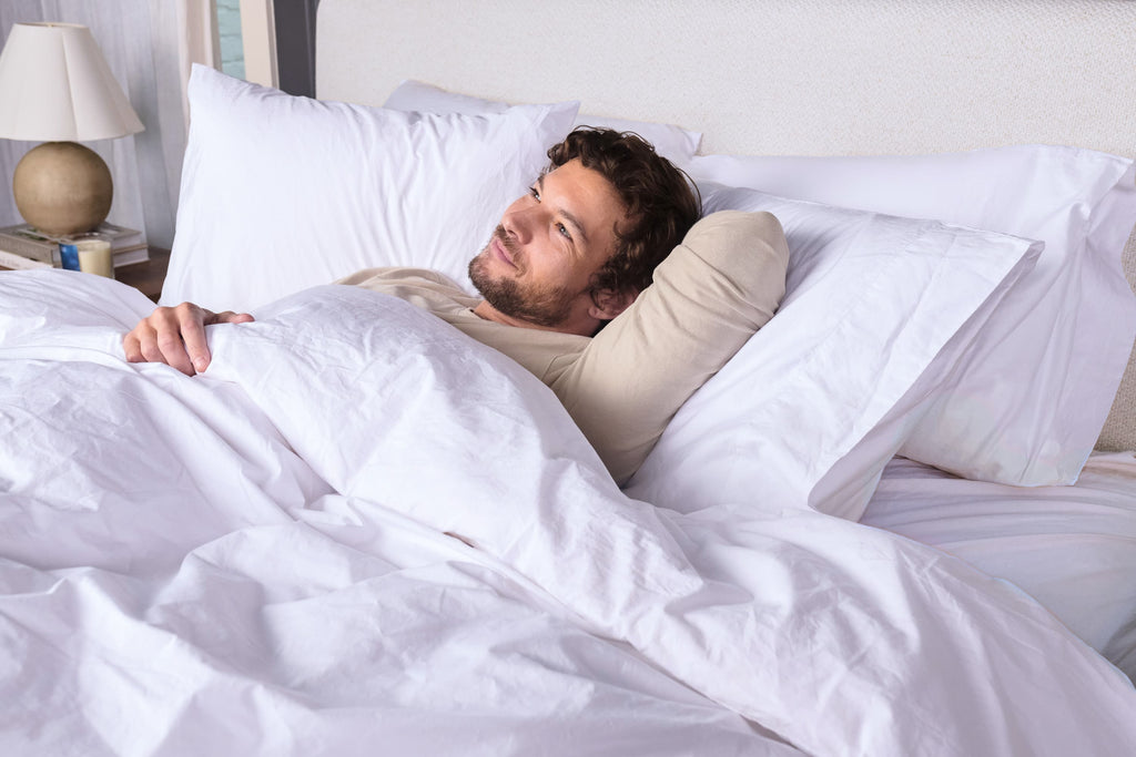 Down Duvet Insert