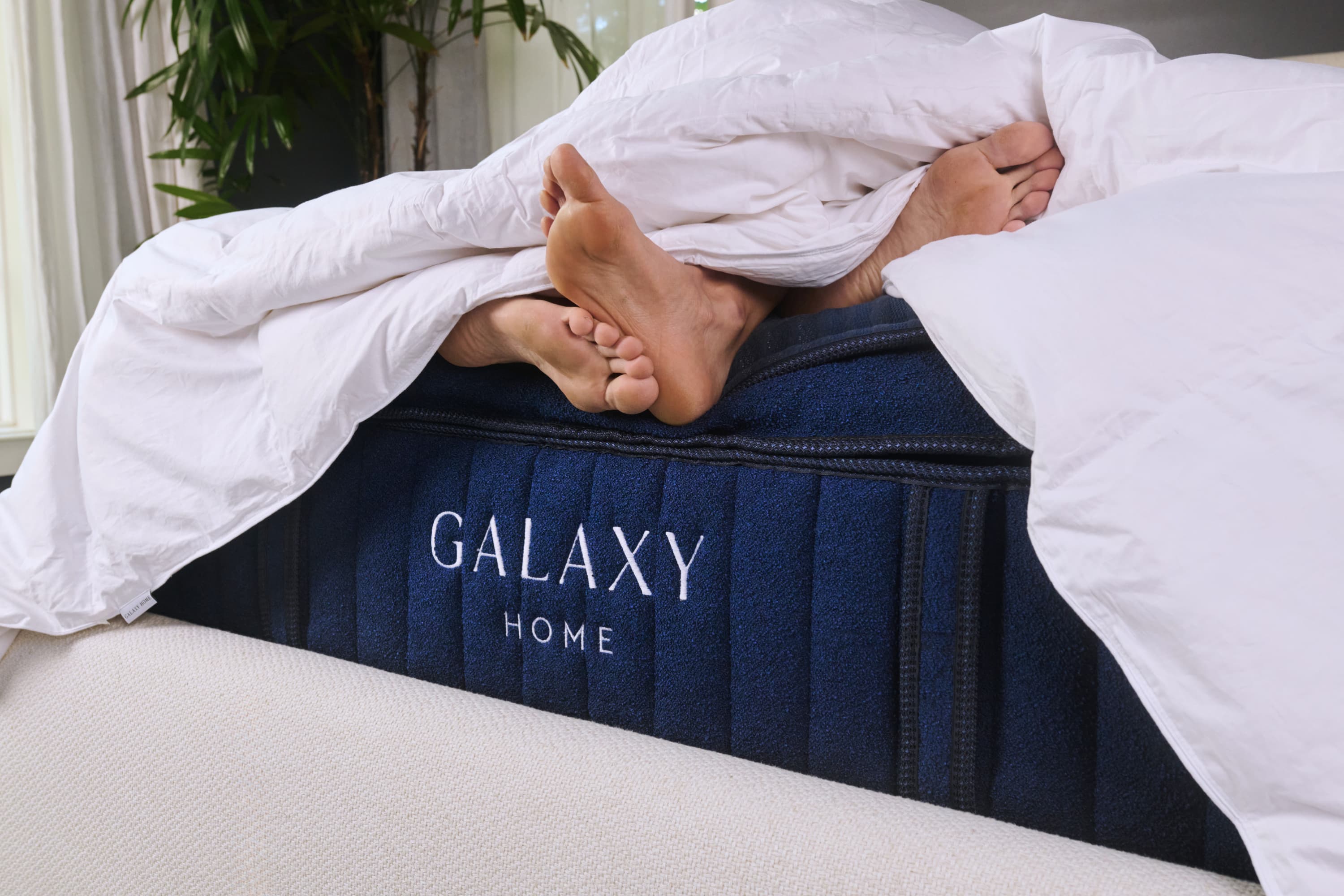 Down Duvet Insert