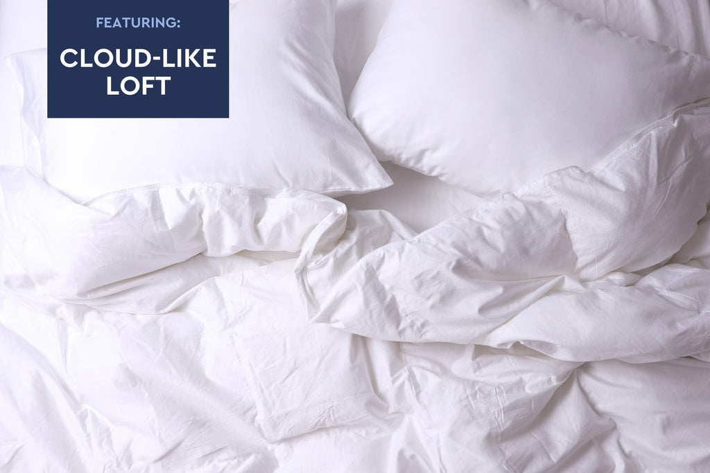 Down Duvet Insert