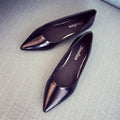 Pointed Toe and Flat Work Shoes for Women in Black/Nude