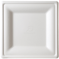 Eco-Products Vanguard 10in Square Sugarcane Plate Compostable (QTY 250), SKU EP-P023NFA