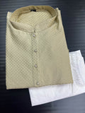 Light Mehandi green kurta set