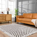 Leryn Black & White Checkered Area Rug