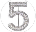 Designer Chanel Brooch Jewelry