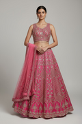 Party wear lehenga Choli set