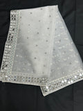 Net duppata with real mirror border