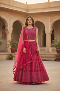 Pink lehenga Choli set