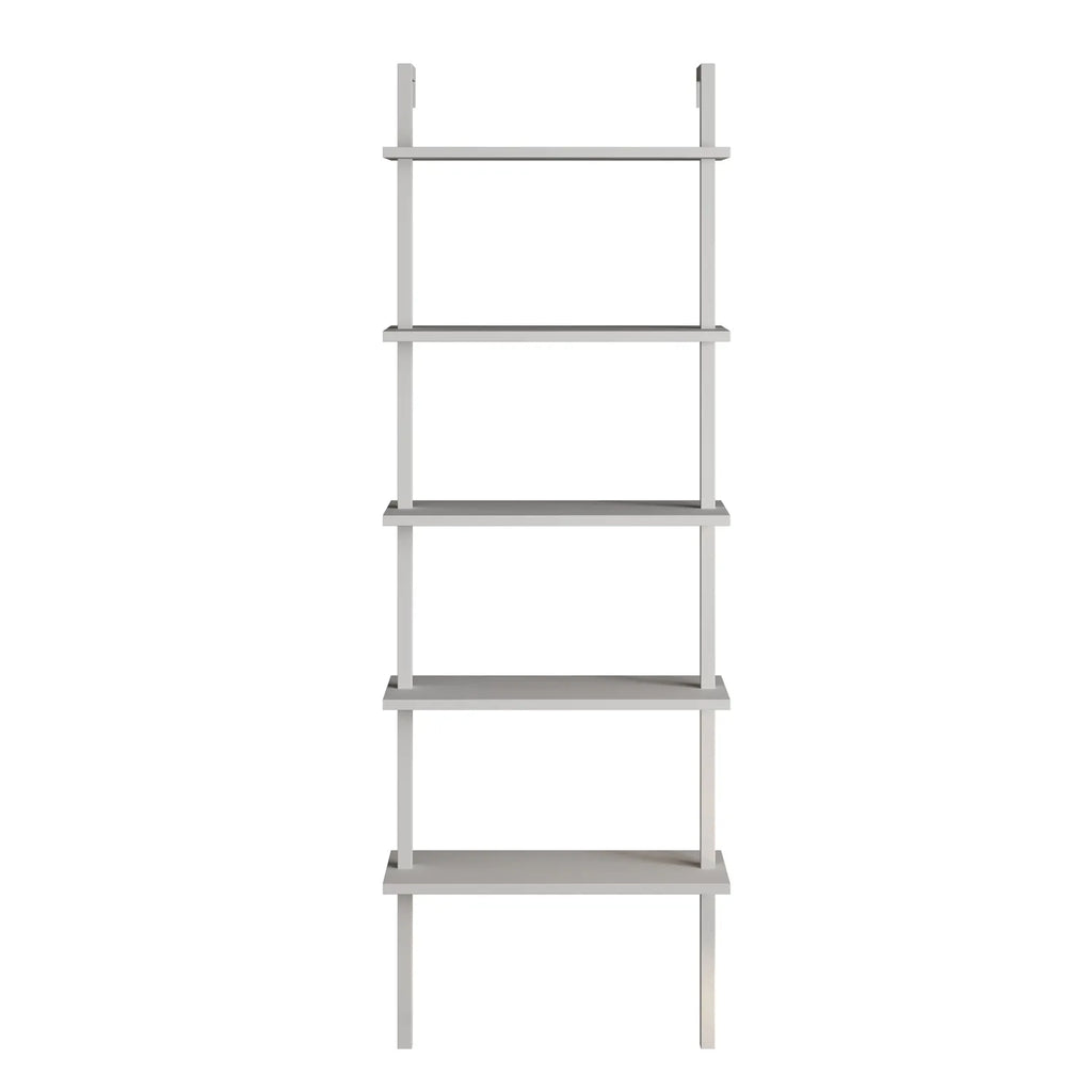 Piante 68 inches Tall Metal Manufactured Wood Accent Ladder Bookcase