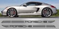 981 Two Tone Stripes