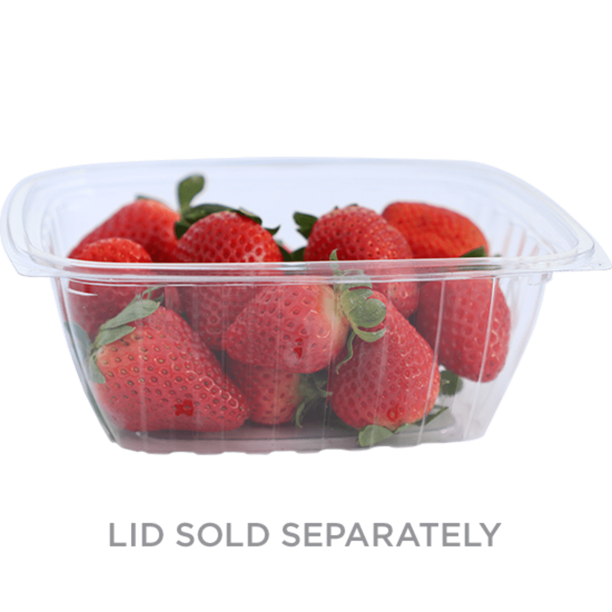 World Centric 32 oz Rectangular Deli, Clear (QTY:600)