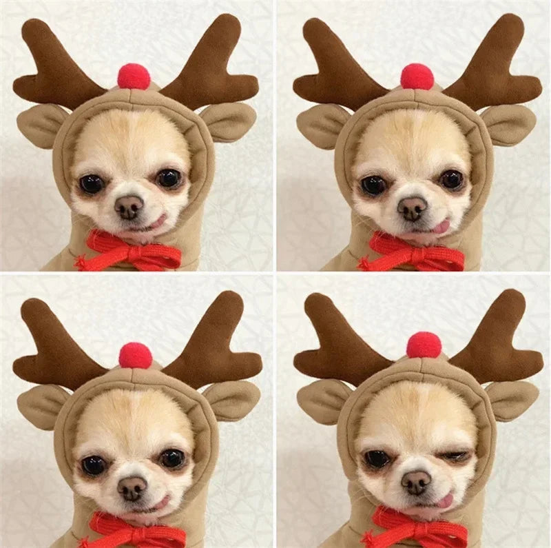 Christmas Pet Clothes