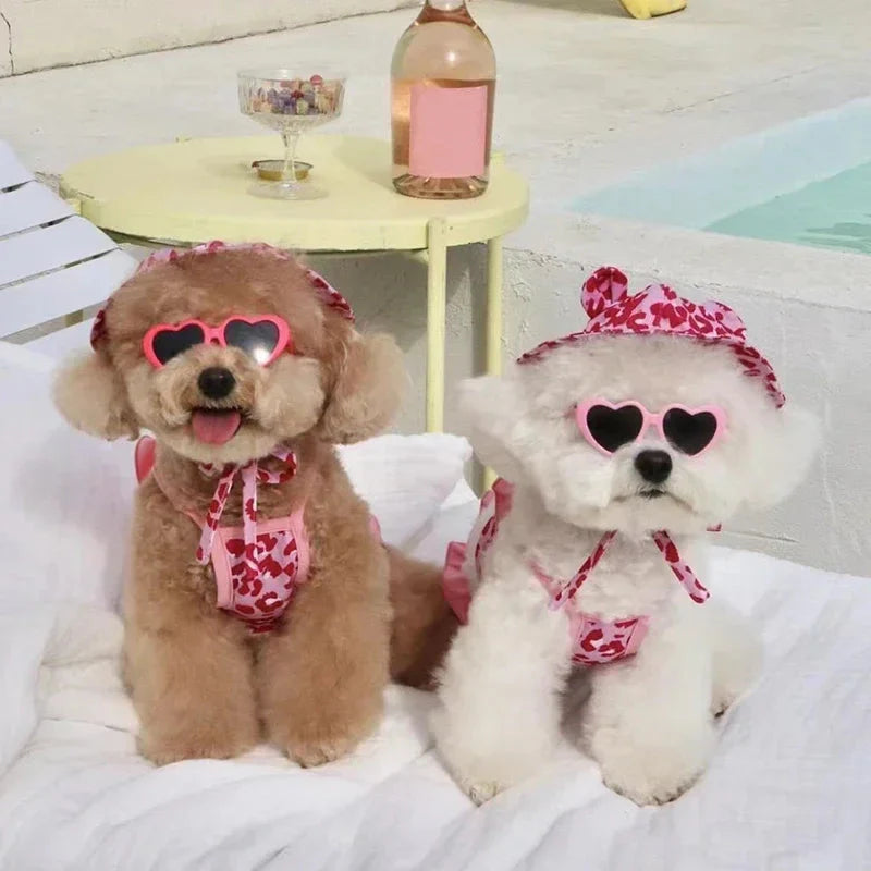 Palm Beach Pup Swimsuit