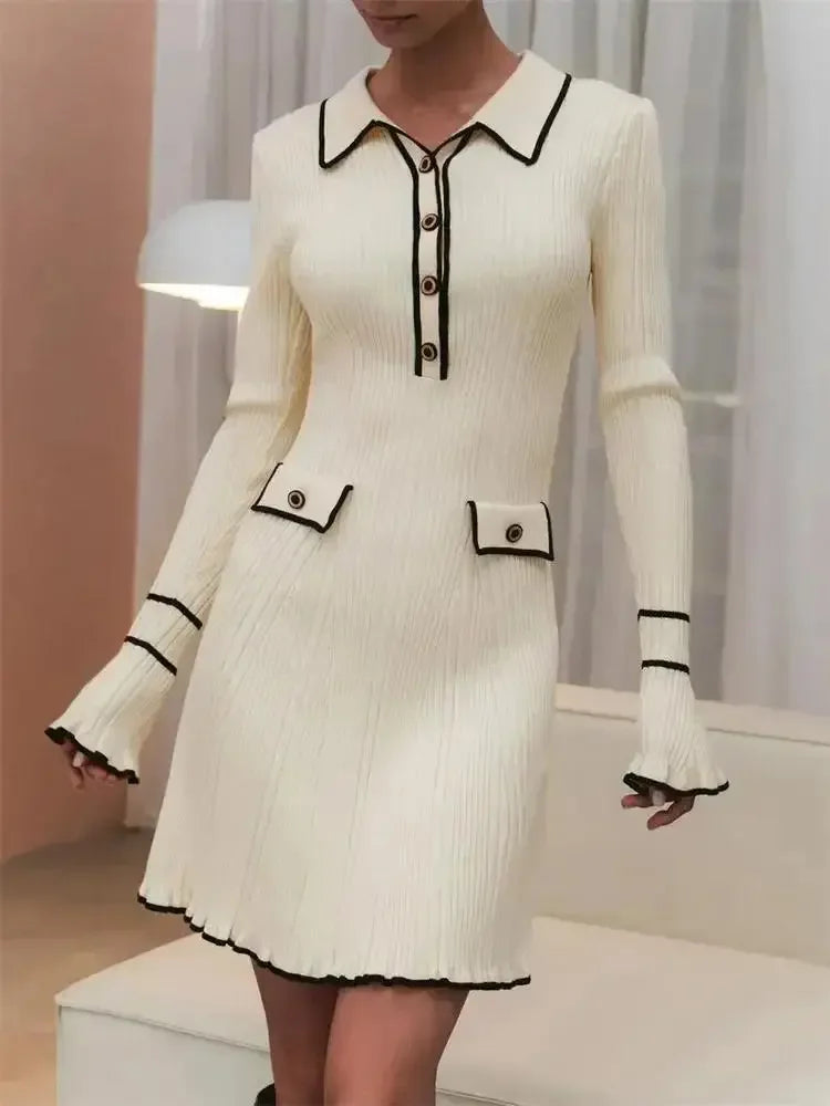 Elegant Long Sleeve Mini Dress