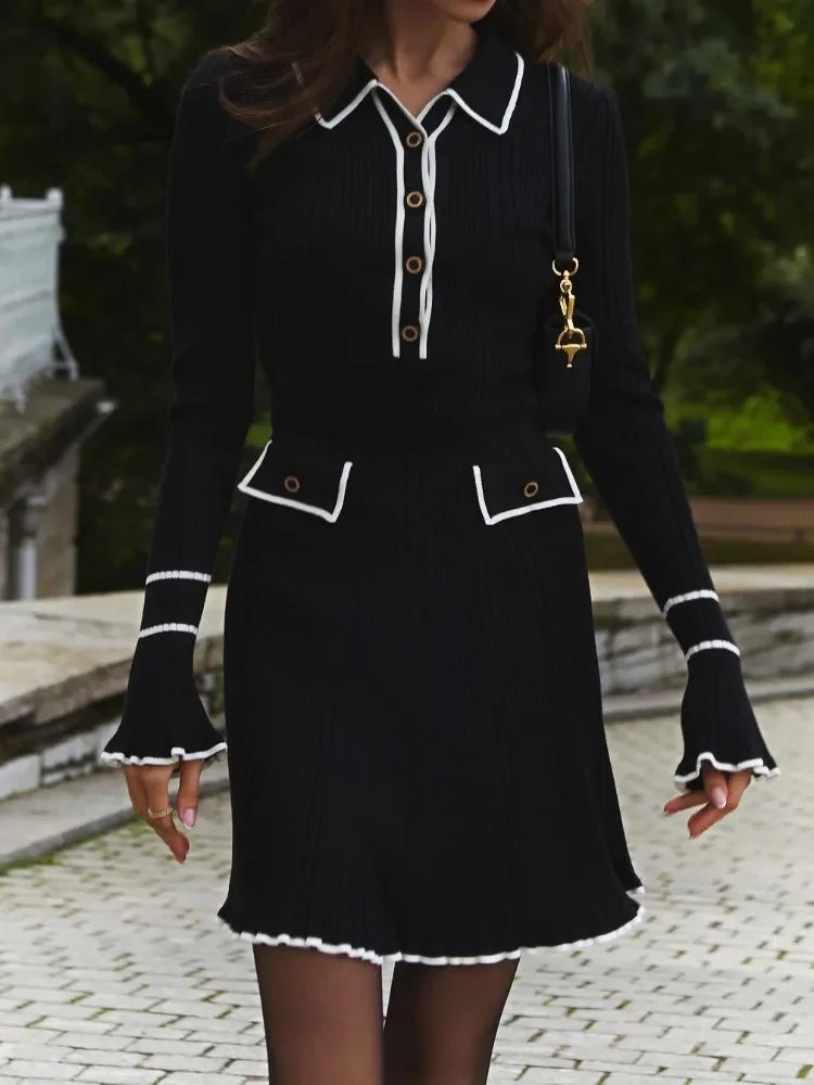 Elegant Long Sleeve Mini Dress
