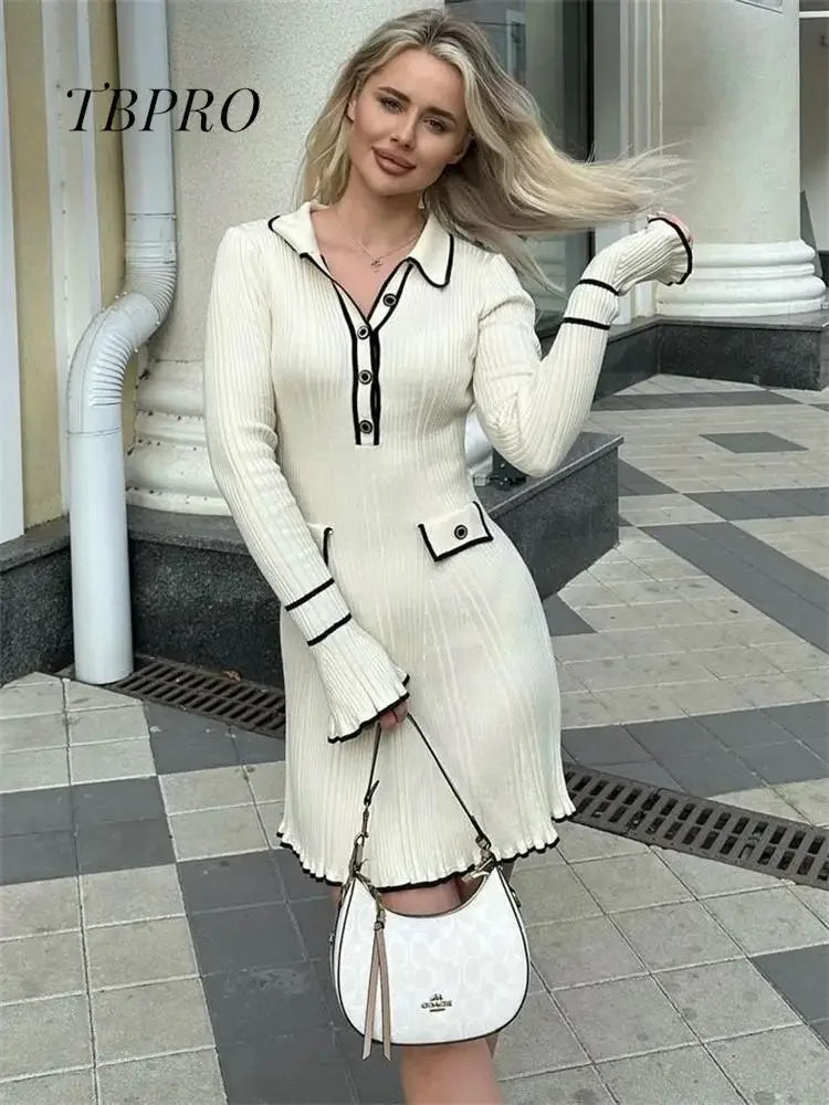 Elegant Long Sleeve Mini Dress
