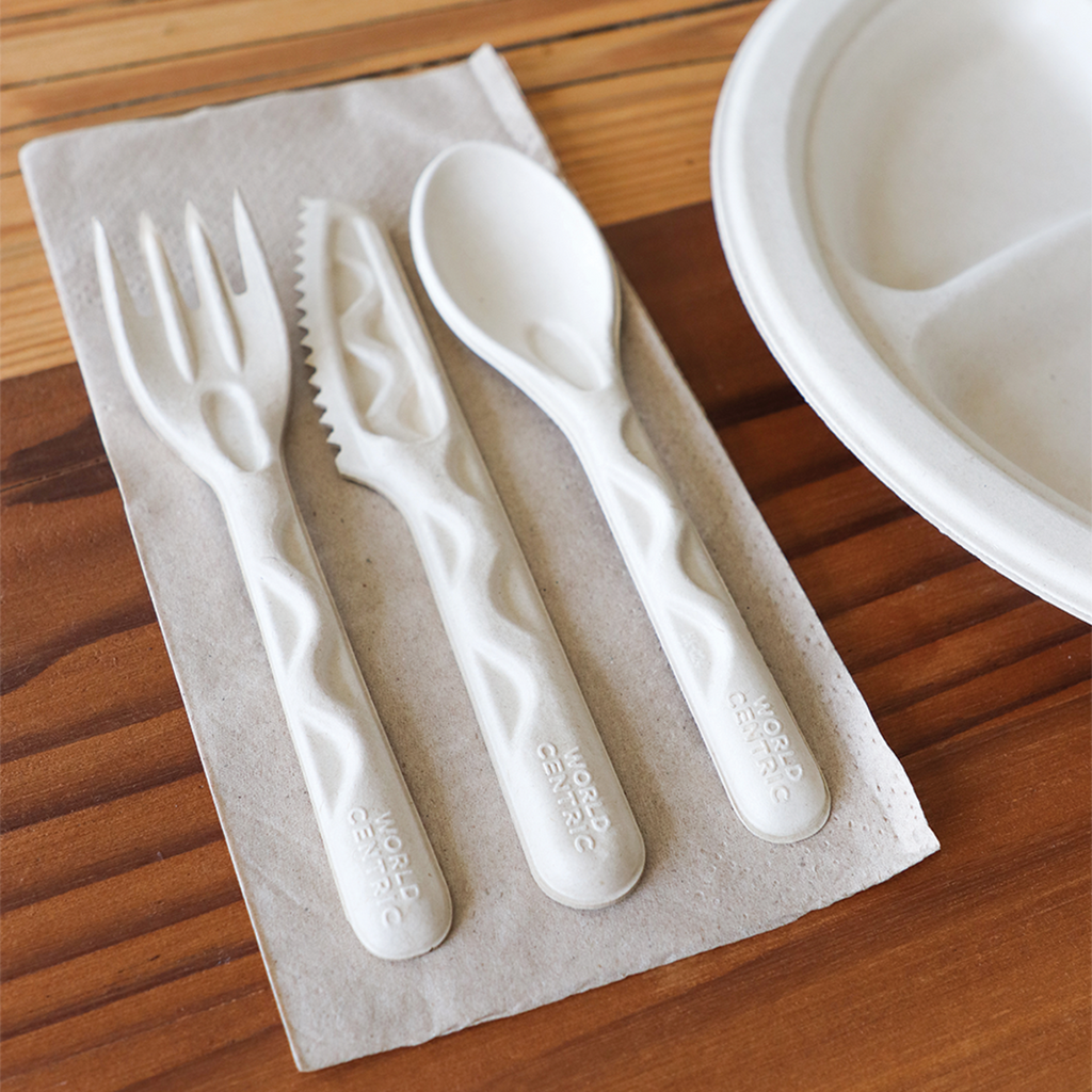 World Centric 6 in Fiber Spoon (QTY 1000), SKU SP-FB-6-LF