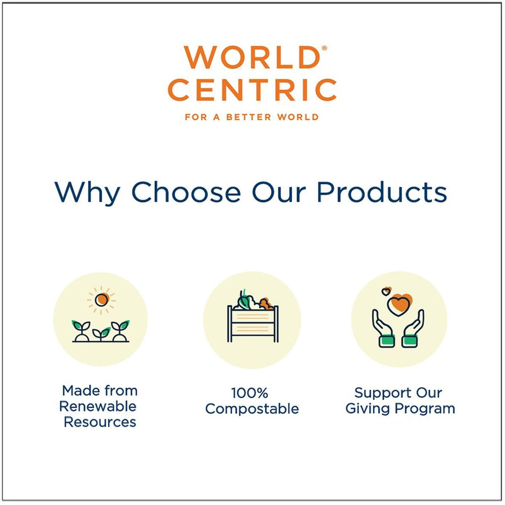 World Centric 10" Fiber Square Plate (QTY:500)