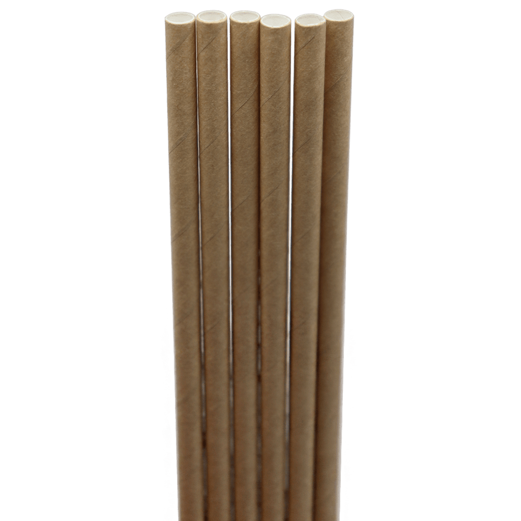 World Centric 10" Kraft Paper Straw (QTY:6000)