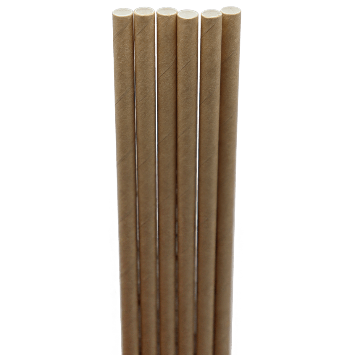 World Centric 10" Kraft Paper Straw (QTY:6000)