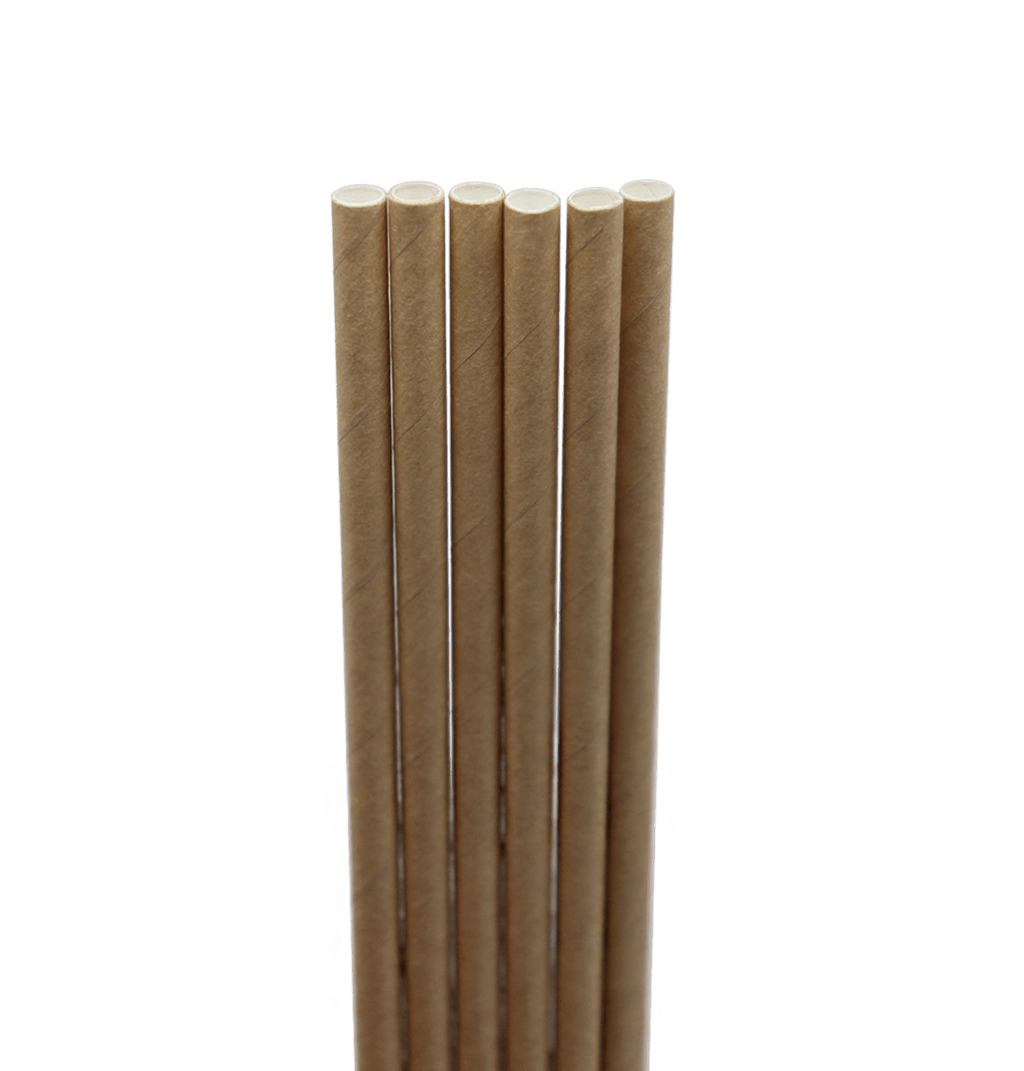 World Centric 8" Kraft Paper Straw (QTY:6000)