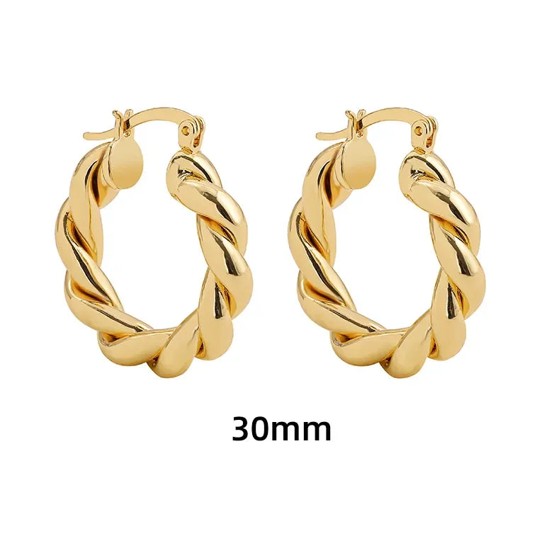 New Trendy Geometric Twisted Thick Hoop Earrings Fashion Gold Color Big Round Circle Earrings for Women Punk Hiphop Jewelry Gift