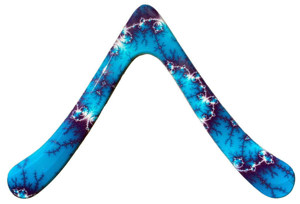 Beginner Boomerang - Seagull Special Edition Boomerang