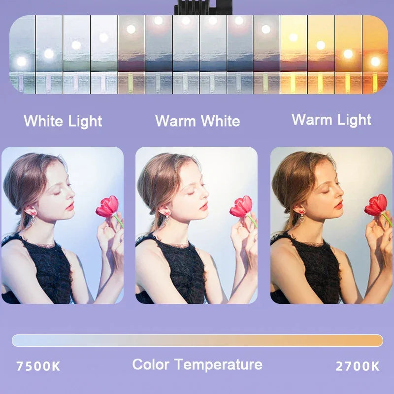 LED Photo Studio Light