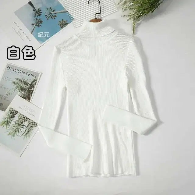Soft Ribbed Turtleneck Sweater