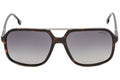 CARRERA 229/S