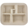 World Centric Fiber Bento Sushi Box, 5-Compt (QTY:300)