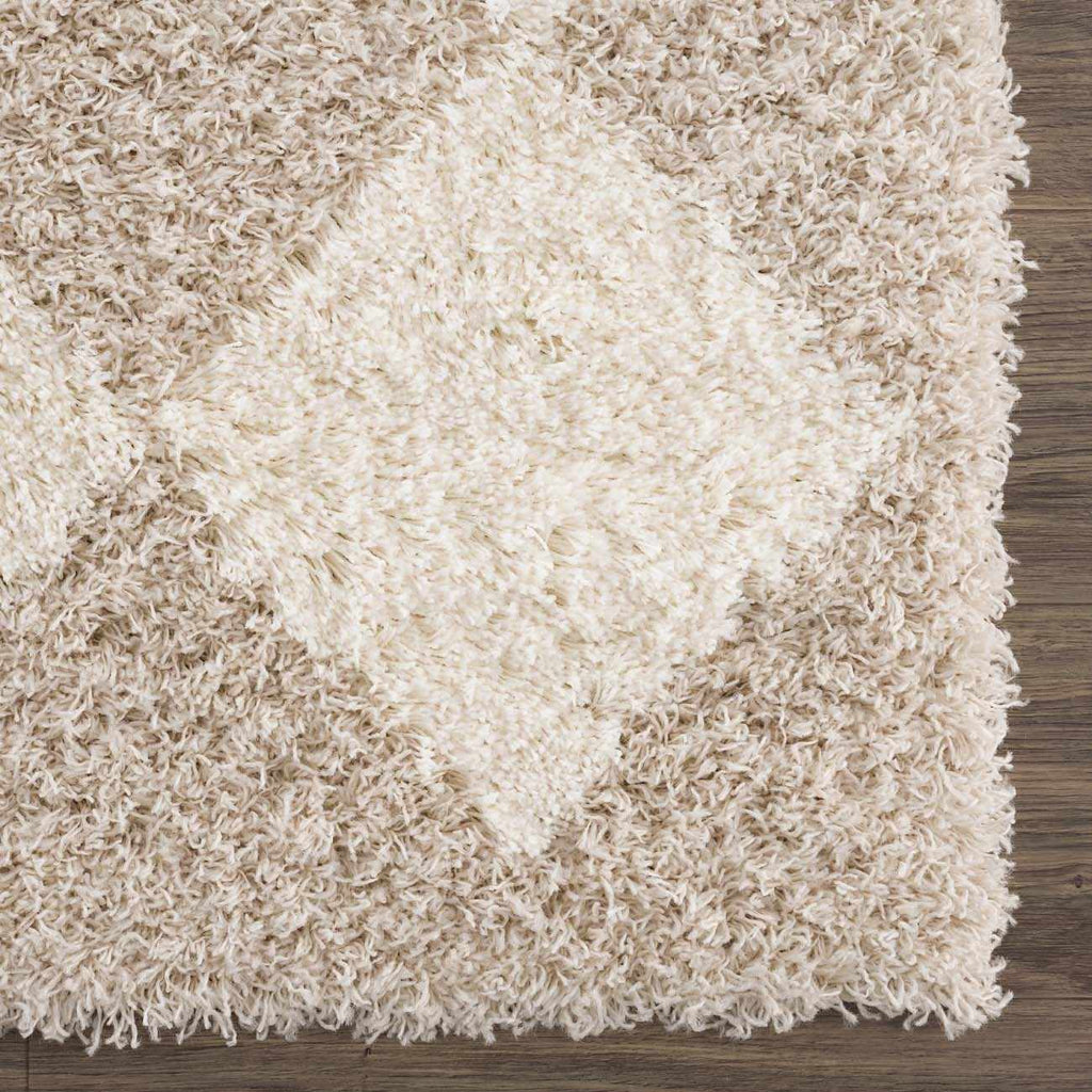 Zahur Cream & Beige Diamond Area Rug